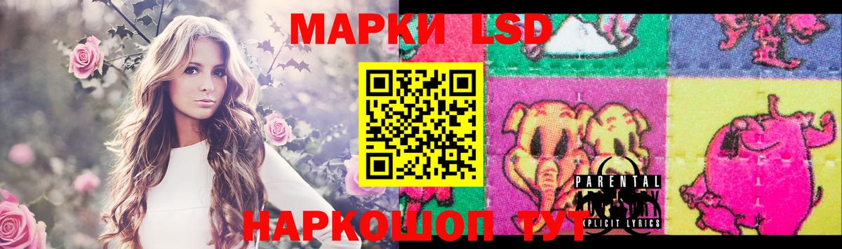 LSD-25 экстази  Вход с VPN  Елизово  ЛСД экстази кислота 