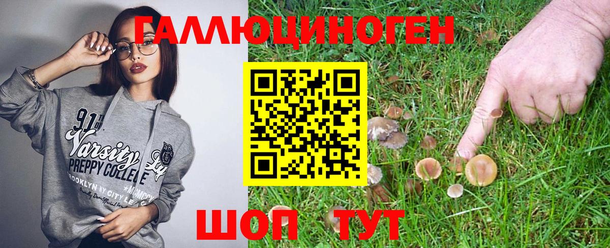 Псилоцибиновые грибы Psilocybine cubensis Елизово