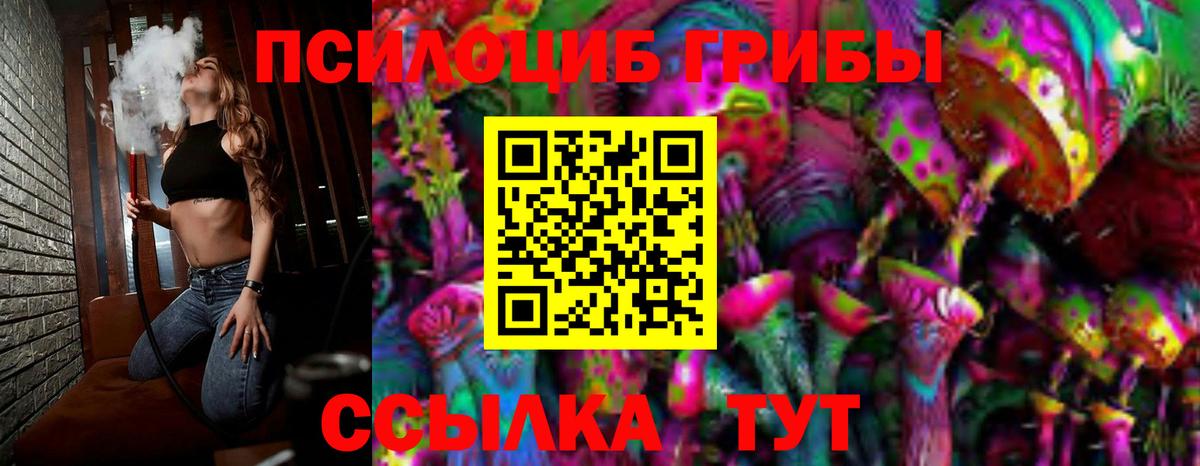 Галлюциногенные грибы мицелий  Вход с VPN  Псилоцибиновые грибы Psilocybe  Елизово 